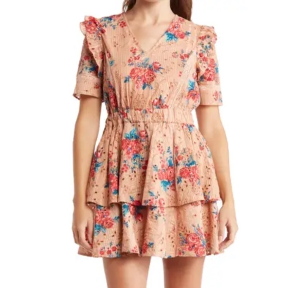 Walter Baker Pink Ivette Floral-print Broderie Anglaise Cotton Mini Dress